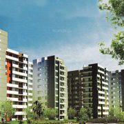 New Living Horizons of Mysore